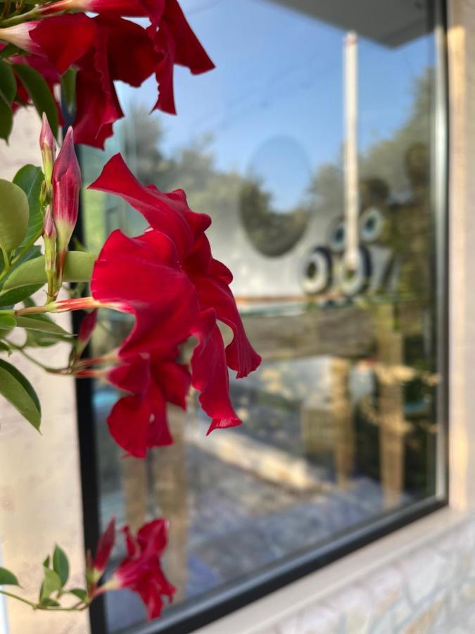 Vila Natali Himare Exteriör bild